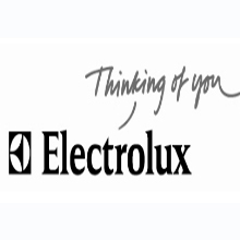 Franquicias  Tintorerías Electrolux - Franquicias Electrolux de Tintorerías la Franquicia que mas crece en 2010