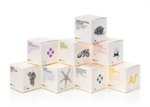 La franquicia Jabonalia amplía su línea de cosmética natural incorporando nuevos productos