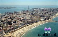 Ambiseint abre en Cádiz Ambiseint abre en Cádiz