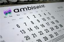 Ambiseint - Ambiseint, todo el año de temporada