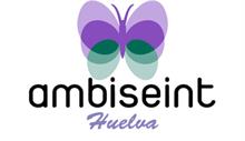 Ambiseint - Ambiseint crece a apertura por mes