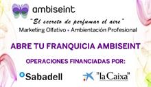 Ambiseint un negocio de éxito, una inversión mínima