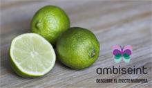 Ambiseint - Historias de aromas que han cambiado multinacionales
