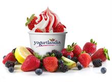 Yogurtlandia - YOGURTLANDIA 