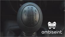 Ambiseint - Ambiseint participa en el Ibiza Motorshow