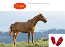 HUSSE - Entrenamiento de caballos con el método Clicker