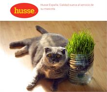 HUSSE - Piensos y productos light para mascotas con sobrepeso