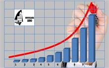 Leiro - Auge de la rentabilidad inmobiliaria franquiciada