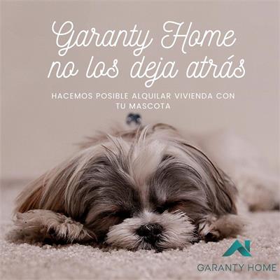 GARANTY HOME y La Garantía para daños causados por Mascotas