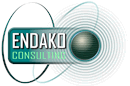 Endako Consulting